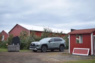 2020 Toyota RAV4 Adventure Review 